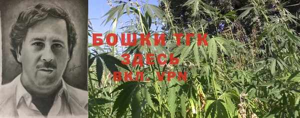 дживик Горнозаводск