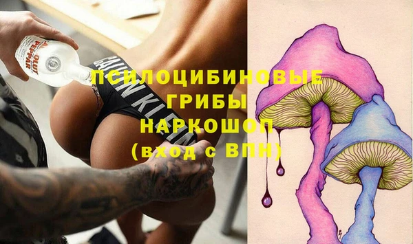 дживик Горнозаводск