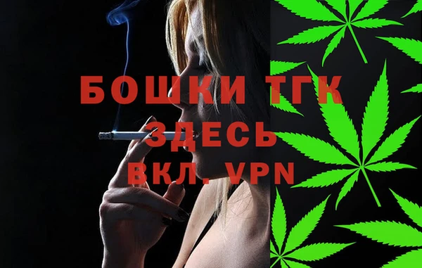 дживик Горнозаводск