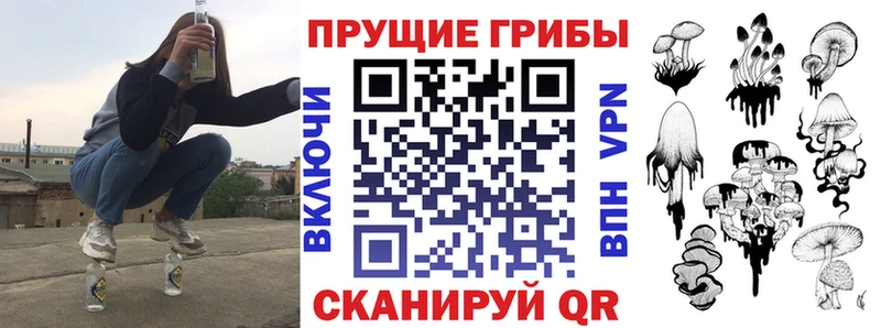 Купить  Медвежьегорск  Псилоцибиновые грибы мицелий 